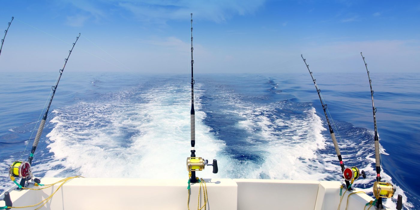 Fishing Line Clearance